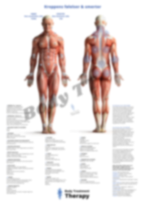 Body Plakater - Treatment Therapy